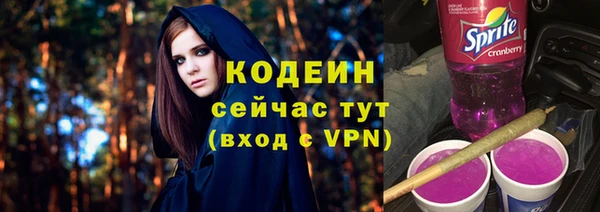 шишки Белоозёрский
