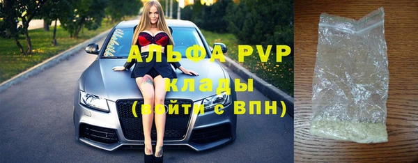 шишки Белоозёрский