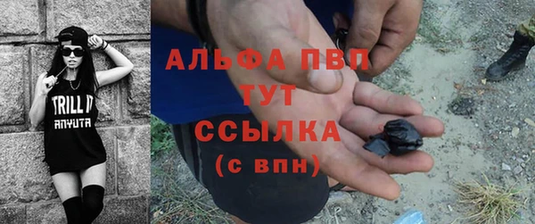 шишки Белоозёрский