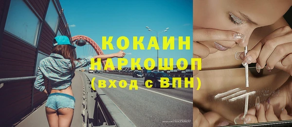 шишки Белоозёрский