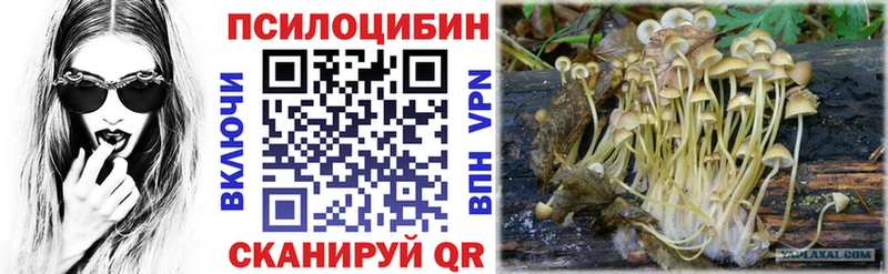 Галлюциногенные грибы Magic Shrooms Козельск