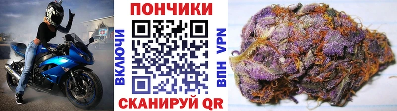МАРИХУАНА планчик  Козельск 